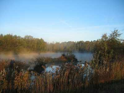 Étang du marais d'Épisy © M. Vergnol
