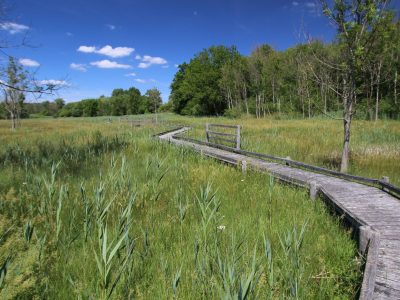 ENS Episy © A. Lainé