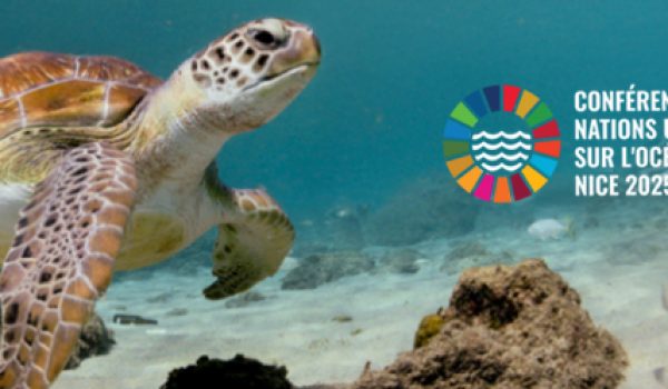 design-sans-titre-11-r6t5k0dywg2kuc0j0fn5uh2mkt8wtmjd9go37u3ge2