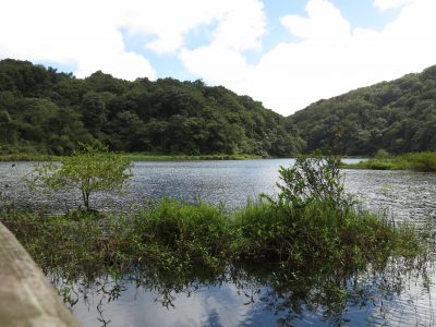 Grand étang © C. Lesponne