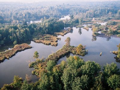 Gravelles roselières du Site N2000 des Marais des Basses vallées de l'Essonne et de la Juine © CD91