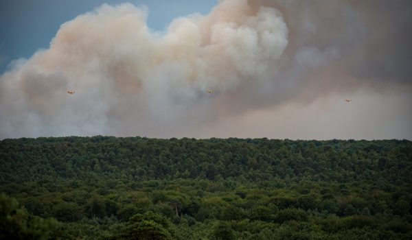 Panoramic view of the Fontainebleau forest with the fires in France