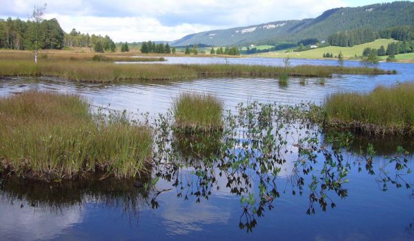 imag-rapport-sfn-eauvincent