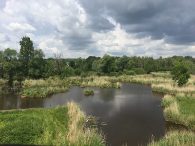 Site N2000 des Marais des Basses vallées de l'Essonne et de la Juine © L. Debeir