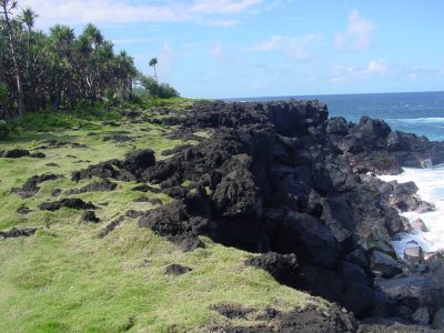Pointe du Tremblet, RBD Réunion © J.Triolo