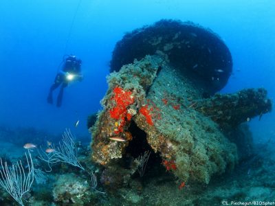 © Parc Marin de la Côte Bleue