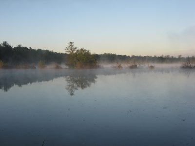 Marais Fontenay aval (c) CD91