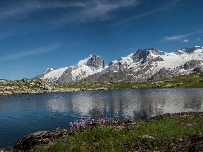 La Meije depuis le lac Noir, Massif de la Meije, Parc national des Ecrins © M. Coulon
