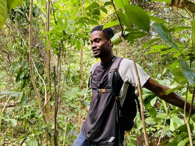 mmoustoifaalicaillaud