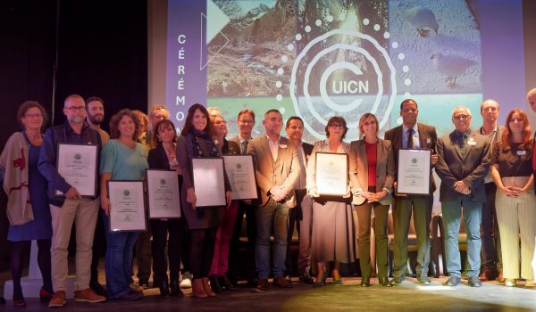 p1177876_dxo-1-1-scaled-e1727690499927