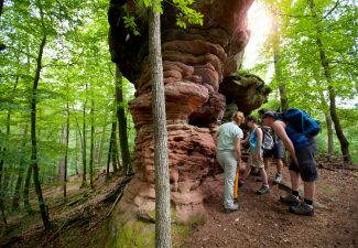 En forêt près de Ramstein, Parc naturel régional des Vosges du Nord © Bichler