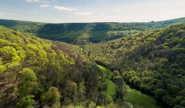 Le massif forestier de Val-Suzon vue par le Belvédère de St. Paul. La particulière conformation topographique de la Val-Suzon est à l'origine d'une mosaïque de milieu différent qui se juxtapose sur des petites surfaces. En effet, le Suzon a entaillé la vallée. L'érosion au fil du temps a créé des pentes, plus ou moins douces, appelée Combes. Presque toutes les combes de Val-Suzon présentent des petites sources, qui ont contribué a entailler encore plus le paysage. Au niveau de la biodiversité, cette topographie, très découpée, avec un changement complet d'orientation au niveau du "coude" de la vallée, a créé des oppositions des versants très fortes, ainsi que nombreuses variations d'exposition et d'altitude, contribuant à la formation des milieux très différentes sur des distances très courtes
Réserve naturelle régionale [RNR] et Forêt d'Exception® [FE] du Val-Suzon