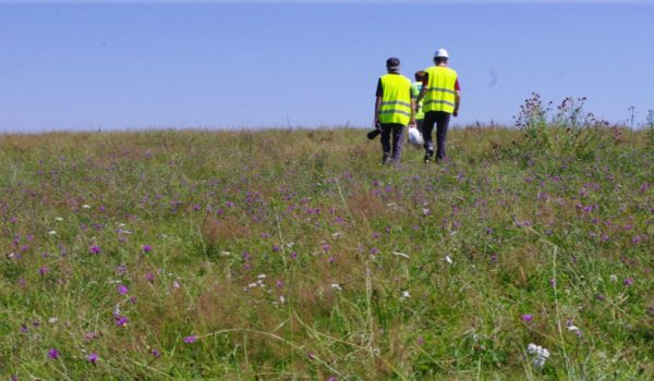 sensibilisation-des-salaris-en-entreprise