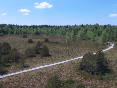 Tourbière bombée (c) JP. Macchioni, 2015